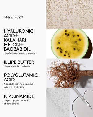 Close-up and names of the Thicc N Smooth eye cream key ingredients: hyaluronic acid, Kalahari melon, baobab oil, illipe butter, polyglumatic acid, and niacinamide.